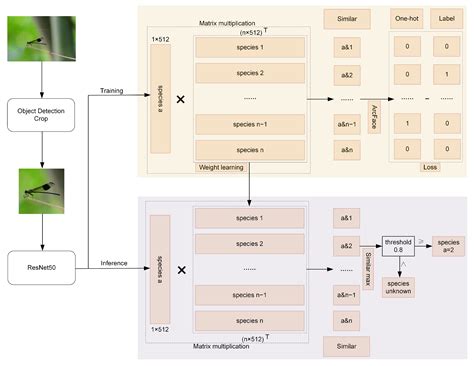 transferring face recognition techniques  entomology  arcface