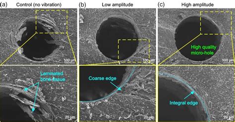 Sem Images Showing Micro Holes Generated On Skull At Different