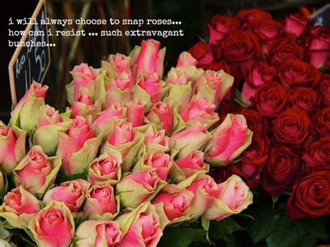 One distinguishing feature of Paris is the flowers. They seem so much ...