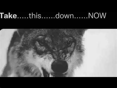 Hung Gay Twink Crashes Marvel Rivals Youtube