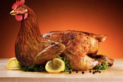 Más De 9 000 Fotos De Pollo Frito Y Pollo Gratis Pixabay