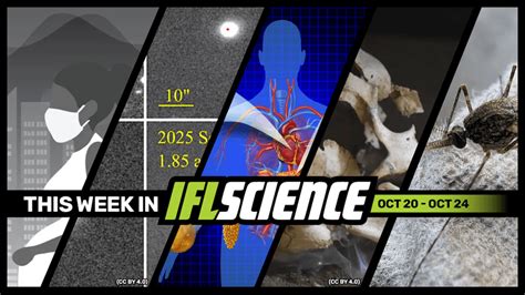Shallowing Is The Sex Trend You Probably Didn T Know You Love IFLScience