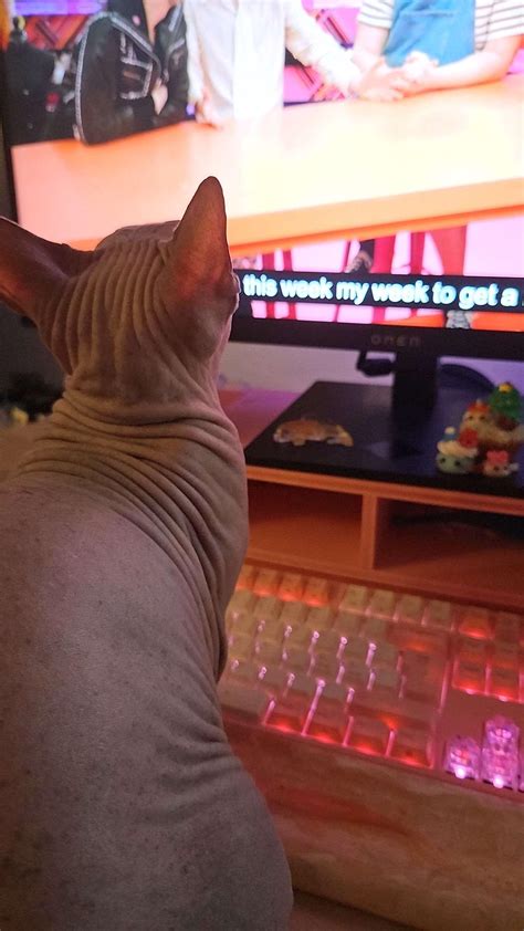 His Ass LOVES RuPaul R Rupaulsdragrace