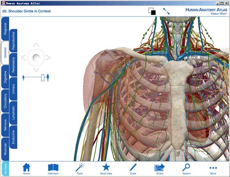 Visible Body Human Anatomy Atlas 3 0 1