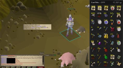 Baby mole pet at 13,323 KC - rank 68 : r/2007scape