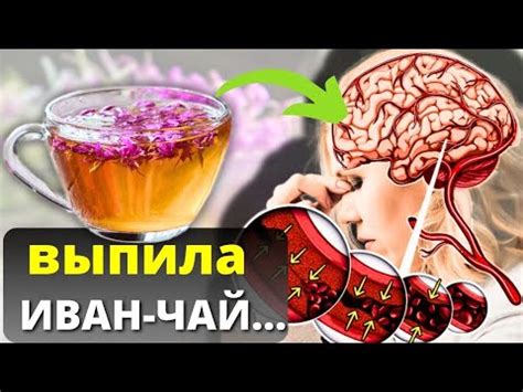 Чай Тулси: свойства и применение (3 видео)