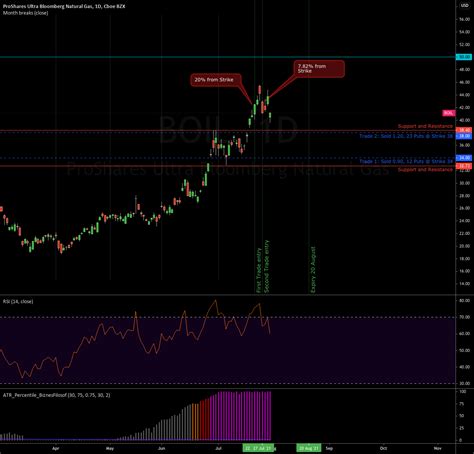 BOIL ETF Bullish Inclined Naked Puts 20 Aug Expiry For AMEX BOIL By