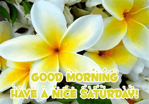 Good Saturday Morning S 50 Animated Greeting Cards