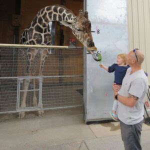 Behind the Scenes Tour - The Lion Habitat Ranch