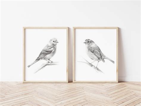 Simple Bird Pencil Drawing