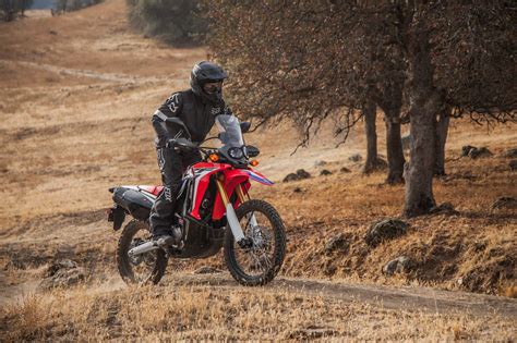 2019 Honda Crf250l Rally Guide • Total Motorcycle