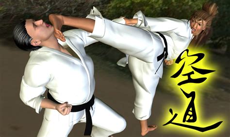 Karate Kick In The Face 3 By Soldier2000 On Deviantart