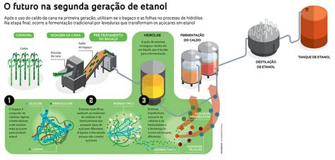 De Onde Vem O Etanol - Planta De Producao De Etanol Cientistas Brasileiros Encontram Nova