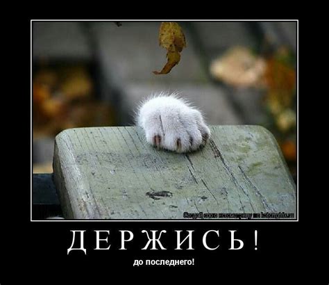 Пин от пользователя Lina на доске Держись. Крепись. Ты справишься ...