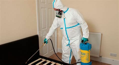 Как избавиться от трупного запаха в квартире - советы и инструкции