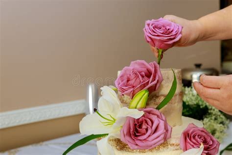 217 Woman Naked Cake Stock Photos Free Royalty Free Stock Photos From Dreamstime