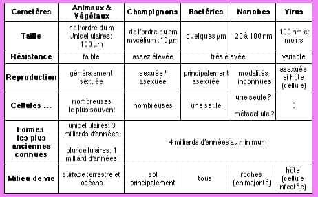 Les catégories de microbes Dossier