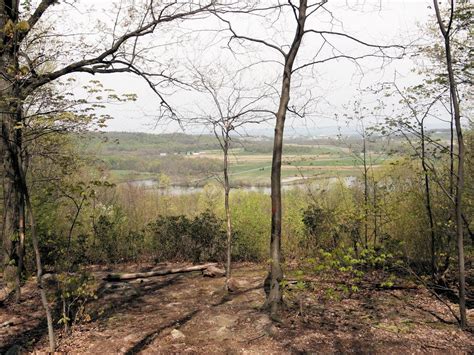 Sue Reno Studio: Middle Creek Wildlife Management Area