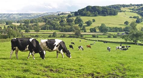 Sainsbury's backs British farming projects | Talking Retail