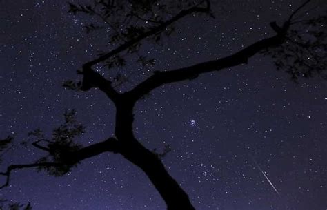 Como assistir à chuva de estrelas cadentes que atingirá a Terra em