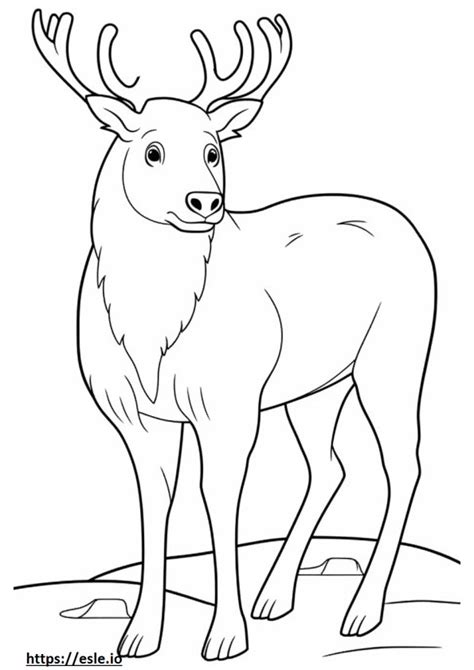 British Timber Coloring Pages Free Printable
