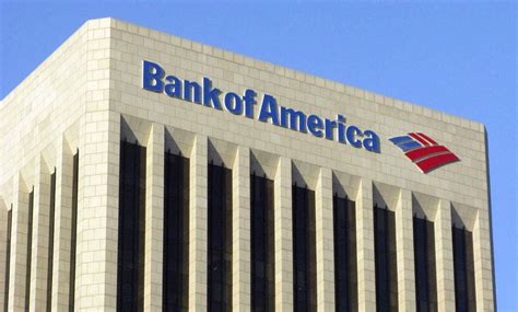 Bank Of America Tampa Floridamarlene Santana Only Twitter