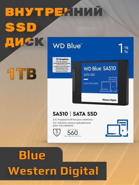 1 ТБ Внутренний SSD-диск Western Digital SSDWD (WDBLUE1000) - купить по ...