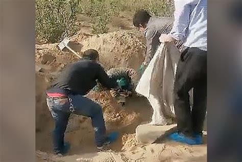 Paralysed Mother Buried Alive By Son Miraculously Survives For 3 Days