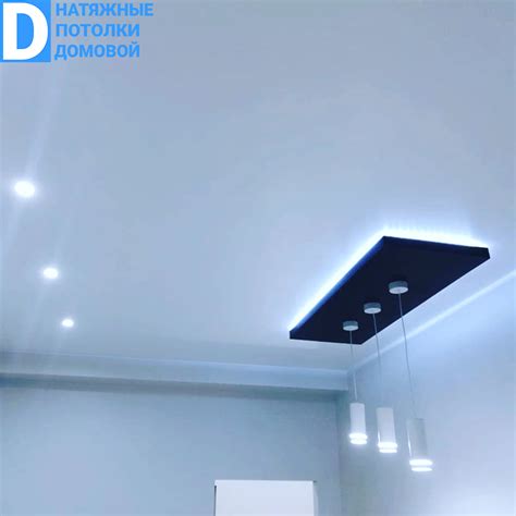 Натяжные потолки "Домовой"