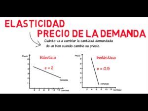 Todo Lo Que Necesitas Saber Sobre La Elasticidad De La Demanda