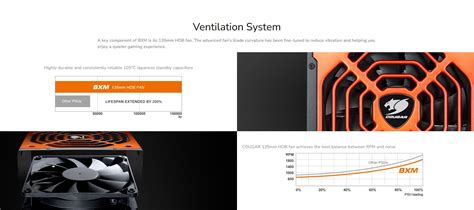 COUGAR BXM700 700 W Power Supply - Newegg.ca