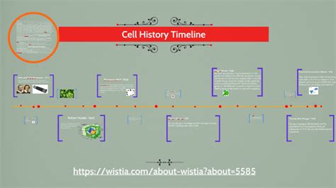 Cell Theory Timeline Cell Theory Biology Notes Theori
