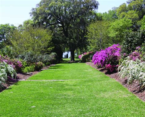 explore berkeley county south carolina