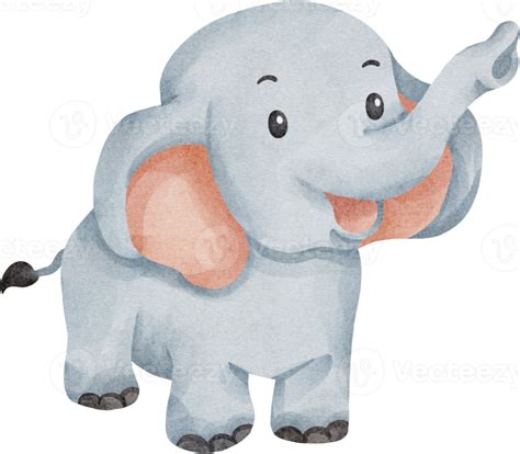 Aquarela De Elefante Fofo 16537614 PNG