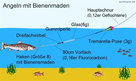 Angeln mit Bienenmaden Zielfische Montage Ausrüstung Simfisch de