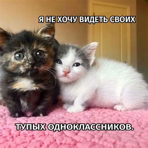 Жиза? #рек #рекомендации #шортс #shorts #диза #1сентября - YouTube