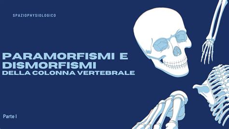 Paramorfismi E Dismorfismi Della Colonna Vertebrale Parte I Youtube