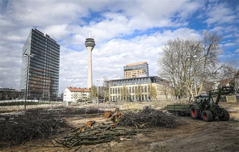 B Ume In D Sseldorf Millionen Euro F R Neue Pflanzungen