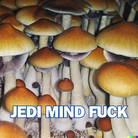 Growing Supplies Spore Syringe Jedi Mind Fuck Spore Syringe P Cubensis