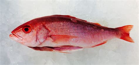 BLUE OCEAN MARKET - Updated March 2025 - 22 Photos & 34 Reviews - 2400