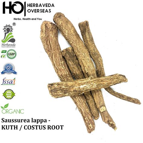 Costus Root - Indian Costus Root Latest Price, Manufacturers & Suppliers