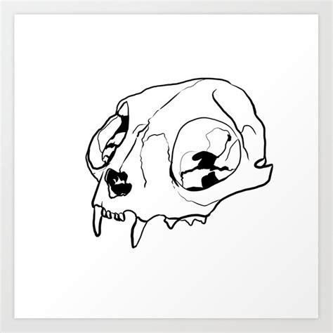 Cat Skull Drawing At Paintingvalley Explore Collection Of Cat