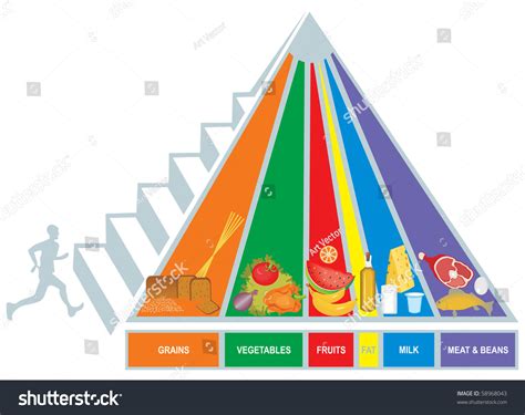 Food Pyramid Vector Stock Vector 58968043 Shutterstock