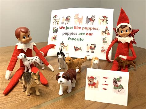 Elf on the Shelf. Adopt a Puppy! | Elf, Puppy adoption, Elf pets