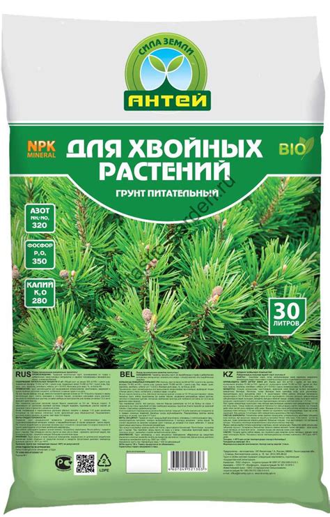 Фунгициды для хвойных растений: список препаратов для туи ...