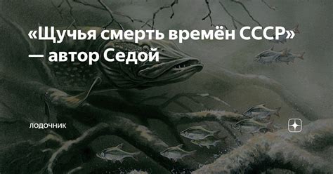 «Щучья смерть времён СССР» — автор Седой | Лодочник | Дзен