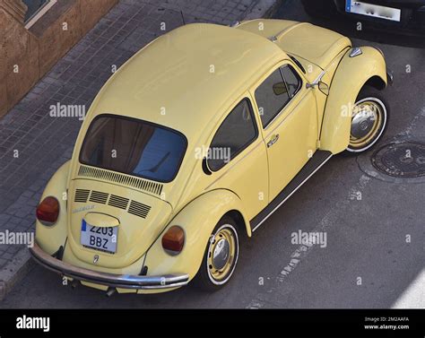 11 coccinelles hi-res stock photography and images - Alamy