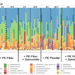 Taxa Bar Plot Showing The Relative Abundance Of The Top 25 Phyla By