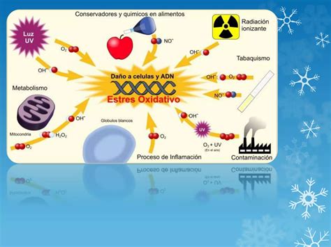 Bioquimica Metabolica Y Radicales Libres PPT