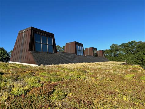 Native Landscaping | Plantwise Native Landscapes and Ecological Restoration